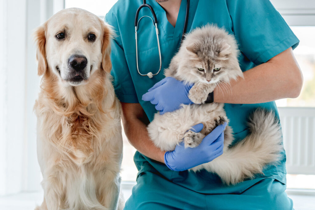 Servicios veterinarios en Boadilla del Monte